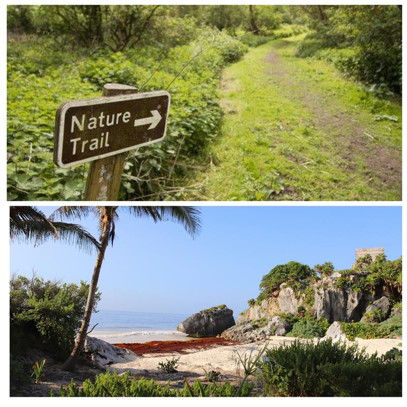 Beach & Bush Walk Combo