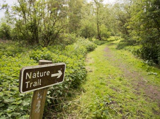 Nature walks